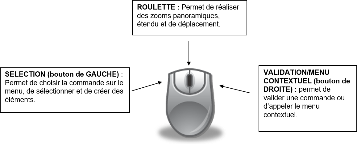 Souris
